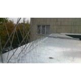 Шипове против птици тип "X"